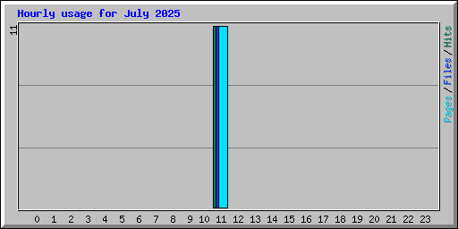 Hourly usage for July 2025