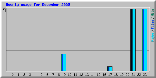 Hourly usage for December 2025